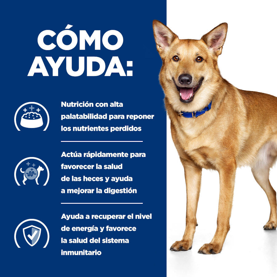 360 g Hill's Prescription Diet Digestive Care i/d Ternera lata para perros, , large indicador imagen numero 4